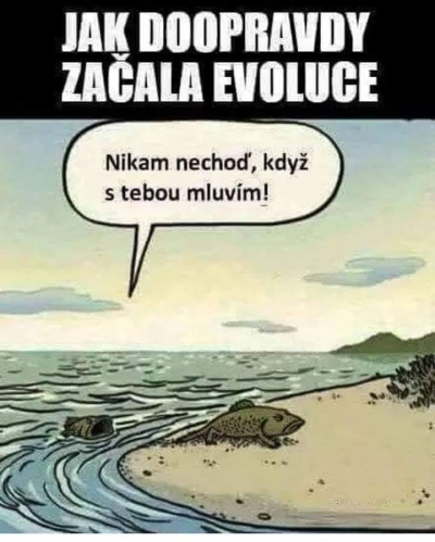 Nikam nechoď, když s tebou mluv&iacute;m