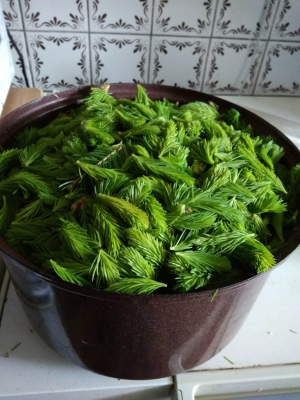 Smrkov&yacute; sirup